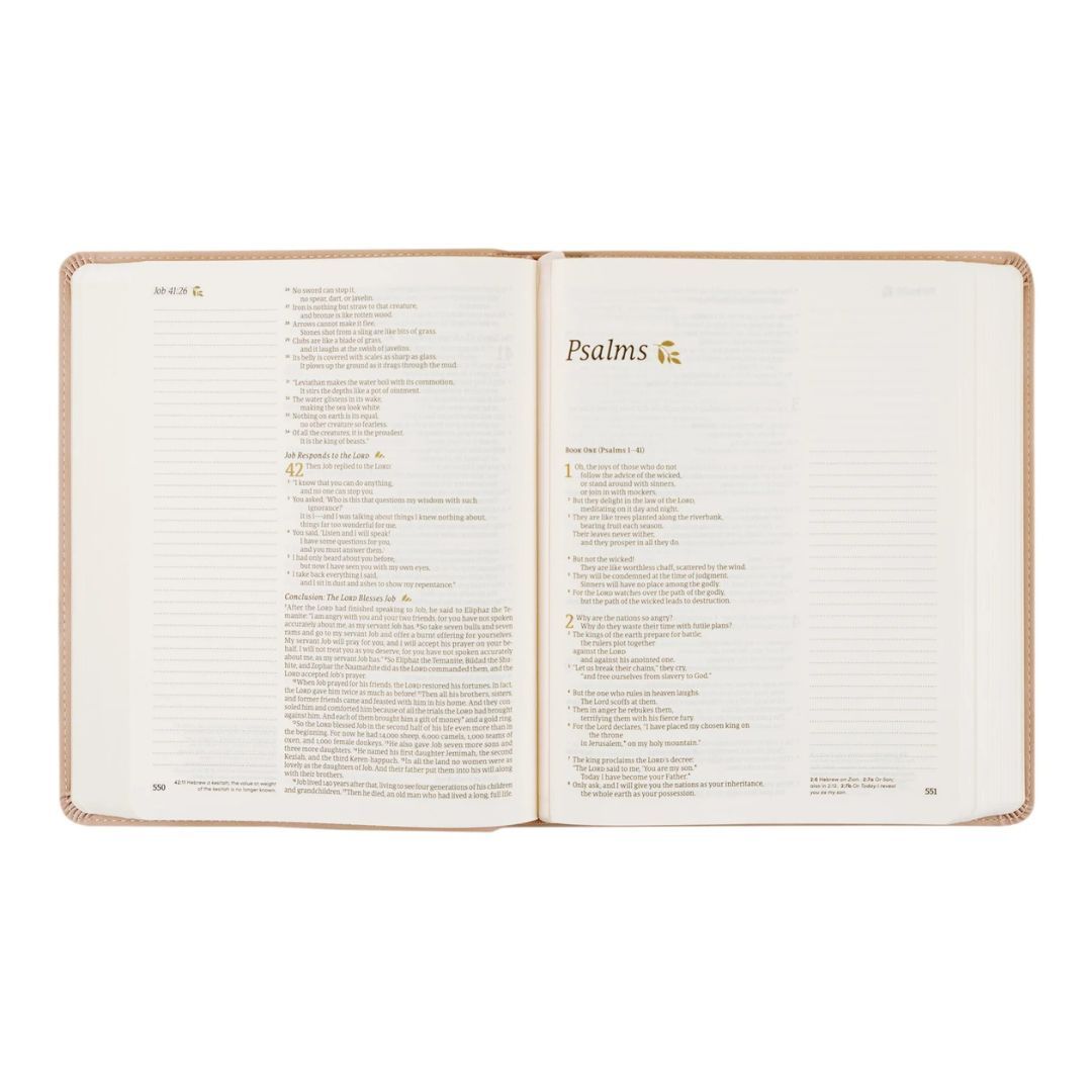 206-1205 Product Image 5