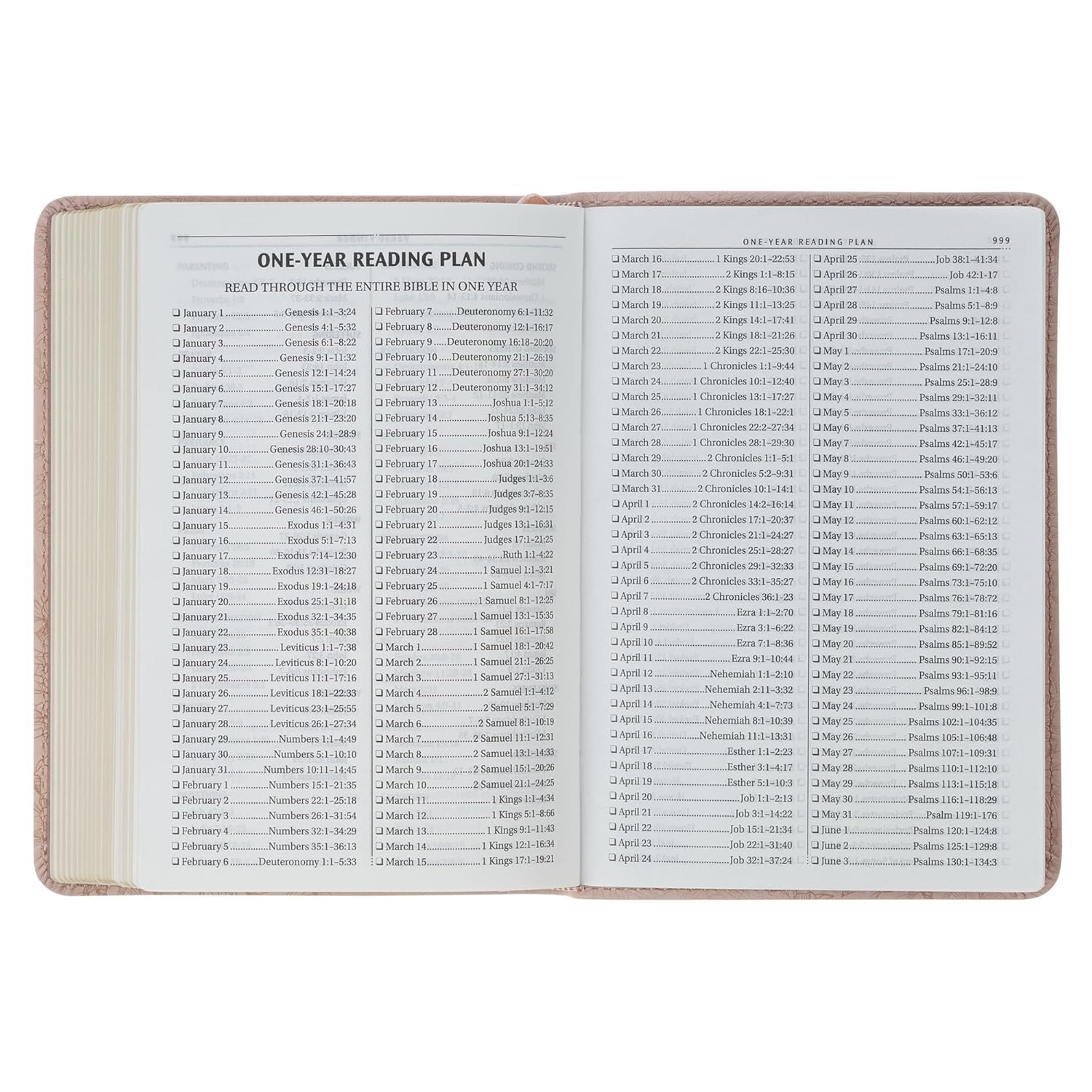 206-1231 Product Image 4