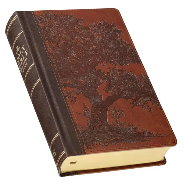 206-1237 Product Image 1