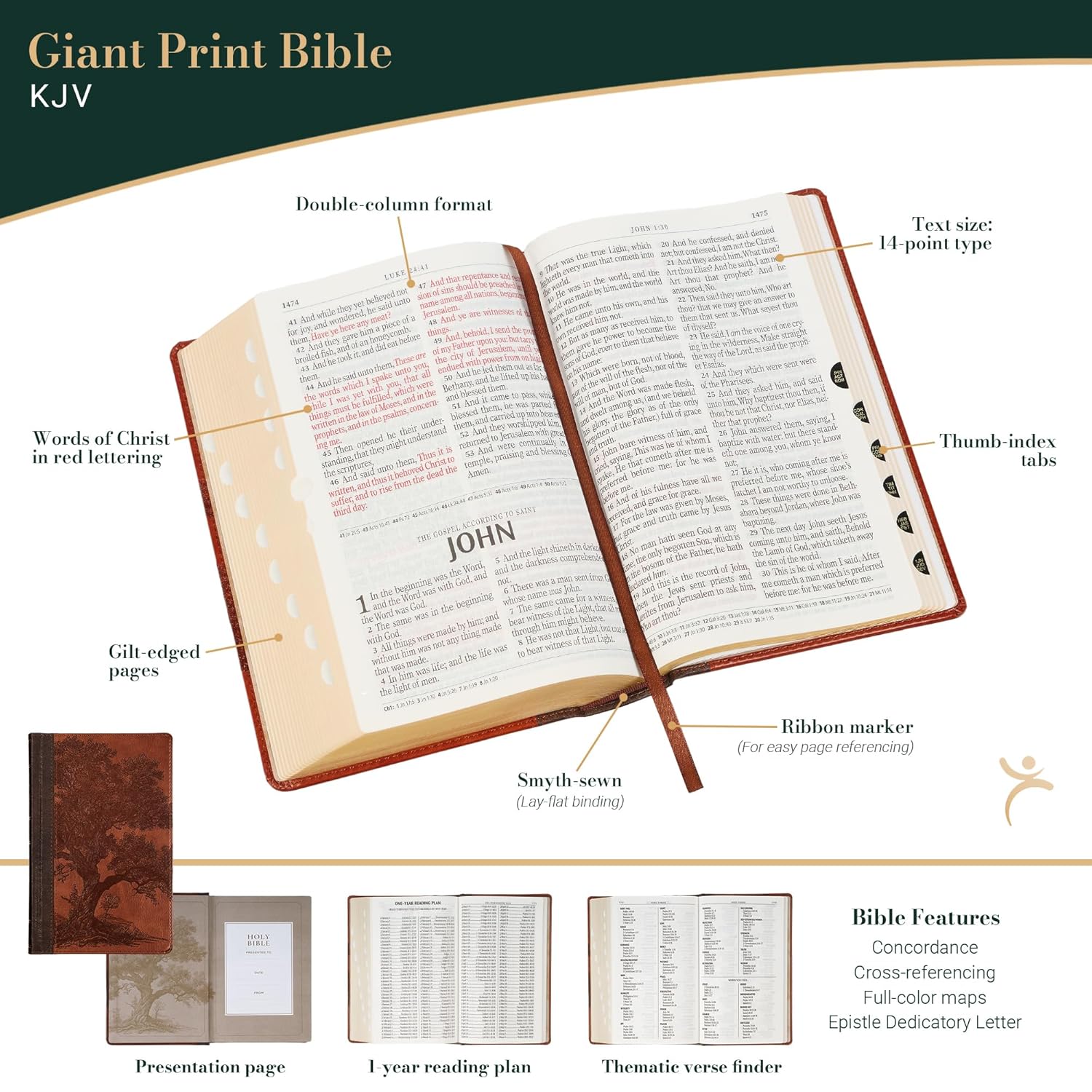 206-1237 Product Image 2