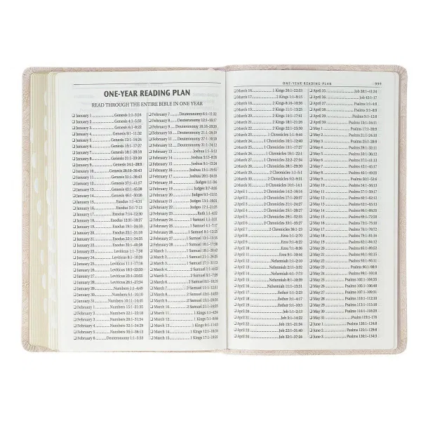 206-1248 Product Image 4