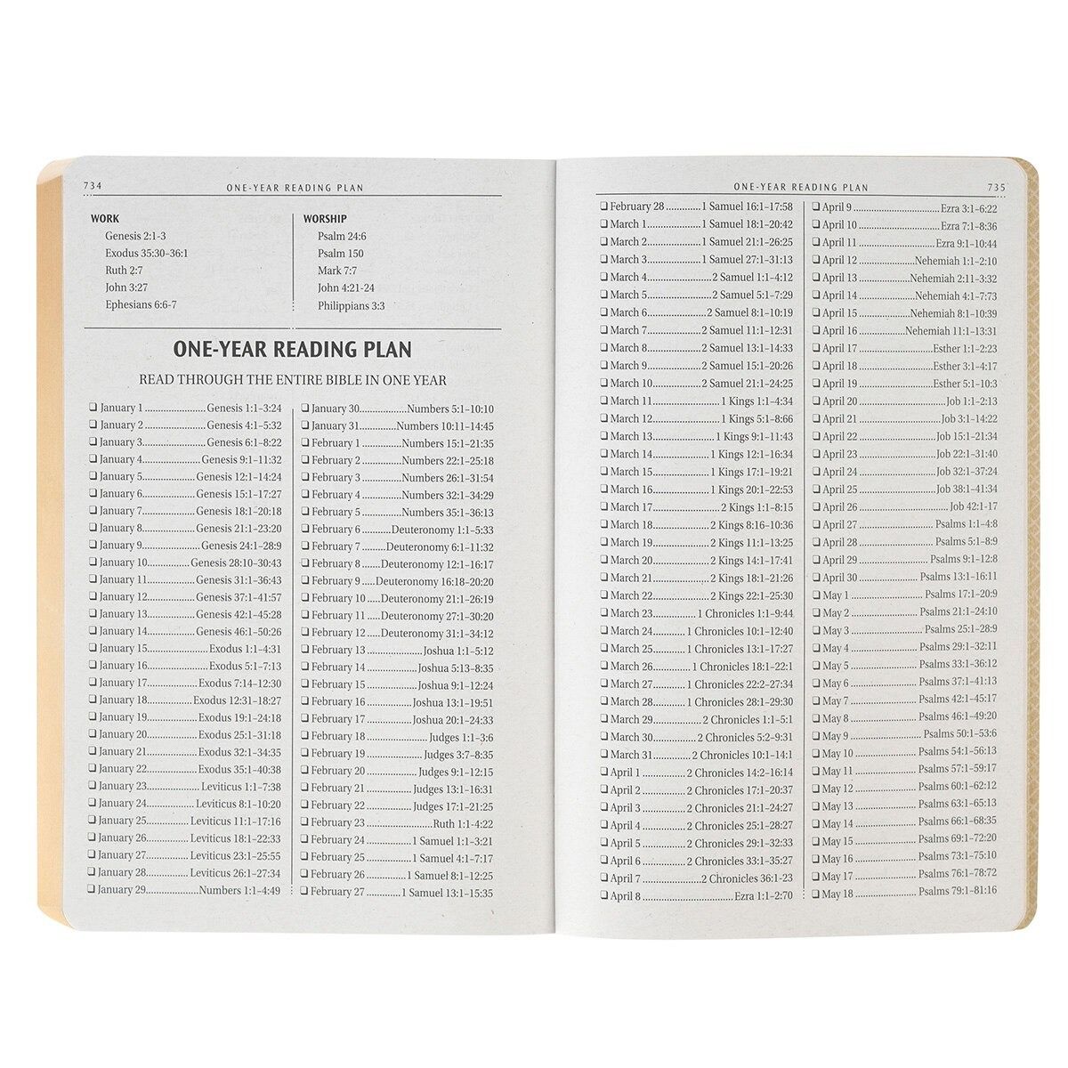 206-1257 Product Image 3