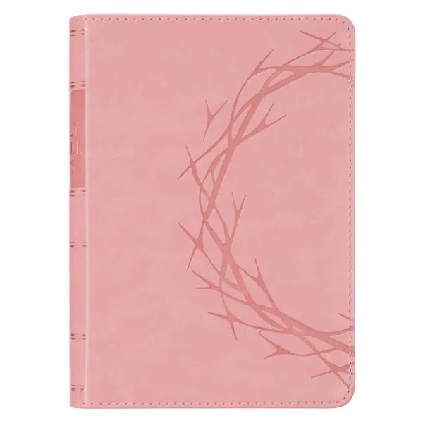 206-1312 Product Image 1
