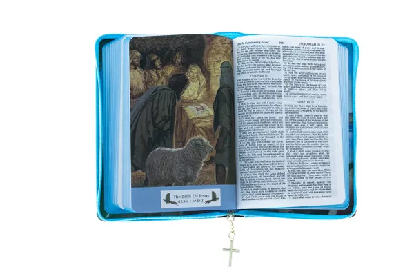 206-2085 Product Image 3