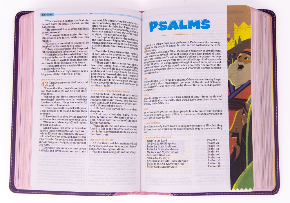 206-2091 Product Image 2