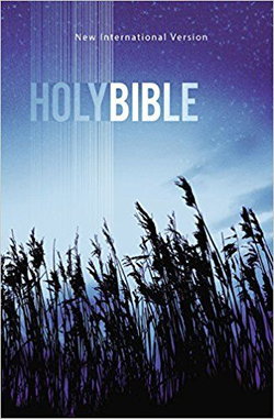 Image of NIV Value Outreach Bible-Blue Wheat Softcover