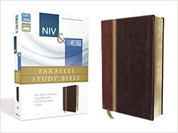 Image of NIV & Message Parallel Study Bible