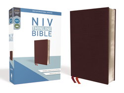 Image of NIV, Thinline Bible, Bonded Leather, Burgundy, Red Letter Edition