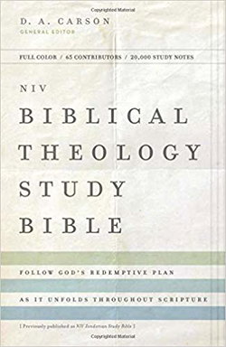 Image of NIV, Biblical Theology Study Bible, Hardcover, Comfort Print