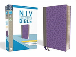 Image of NIV, Thinline Bible, Giant Print, Leathersoft, Gray/Purple, Comfort Print