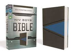 Image of NIV, Boys’ Bible, Leathersoft, Gray/Blue, Comfort Print