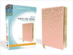 Image of NIV, Bible for Teens, Thinline Edition, Leathersoft, Pink