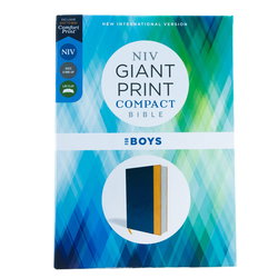 Image of NIV Giant-Print Compact Bible for Boys, Leather-look, Blue/Yellow