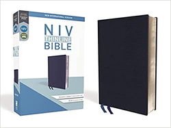 Image of NIV Thinline Navy Bible, Bonded Leather