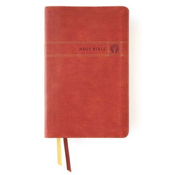 Image of NIV Men’s Devotional Bible, Leathersoft Brown