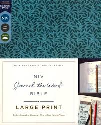 Image of NIV Journal the Word Bible, LP , Teal, Red Letter