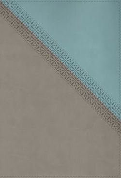 Image of NIV Application Bible, Leathersoft, Teal/Grey, Red Letter, Comfort Print