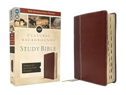 Image of NIV Cultural Backgrounds Study Bible, Indexed, Leathersoft, Brown