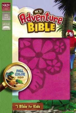Image of NKJV Adventure Bible (Full Color)-Raspberry DuoTone
