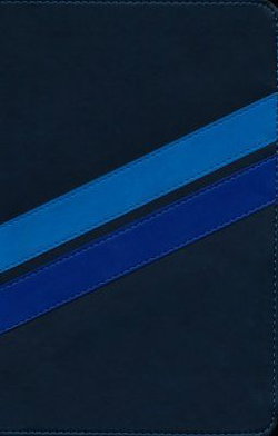 Image of NLT Boys Life Application Study Bible, Tutone