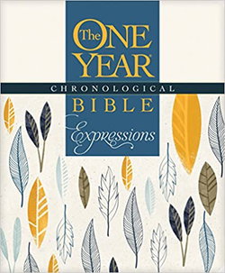 Image of NLT One Year Chronological Bible Creative Expressions -Softcover