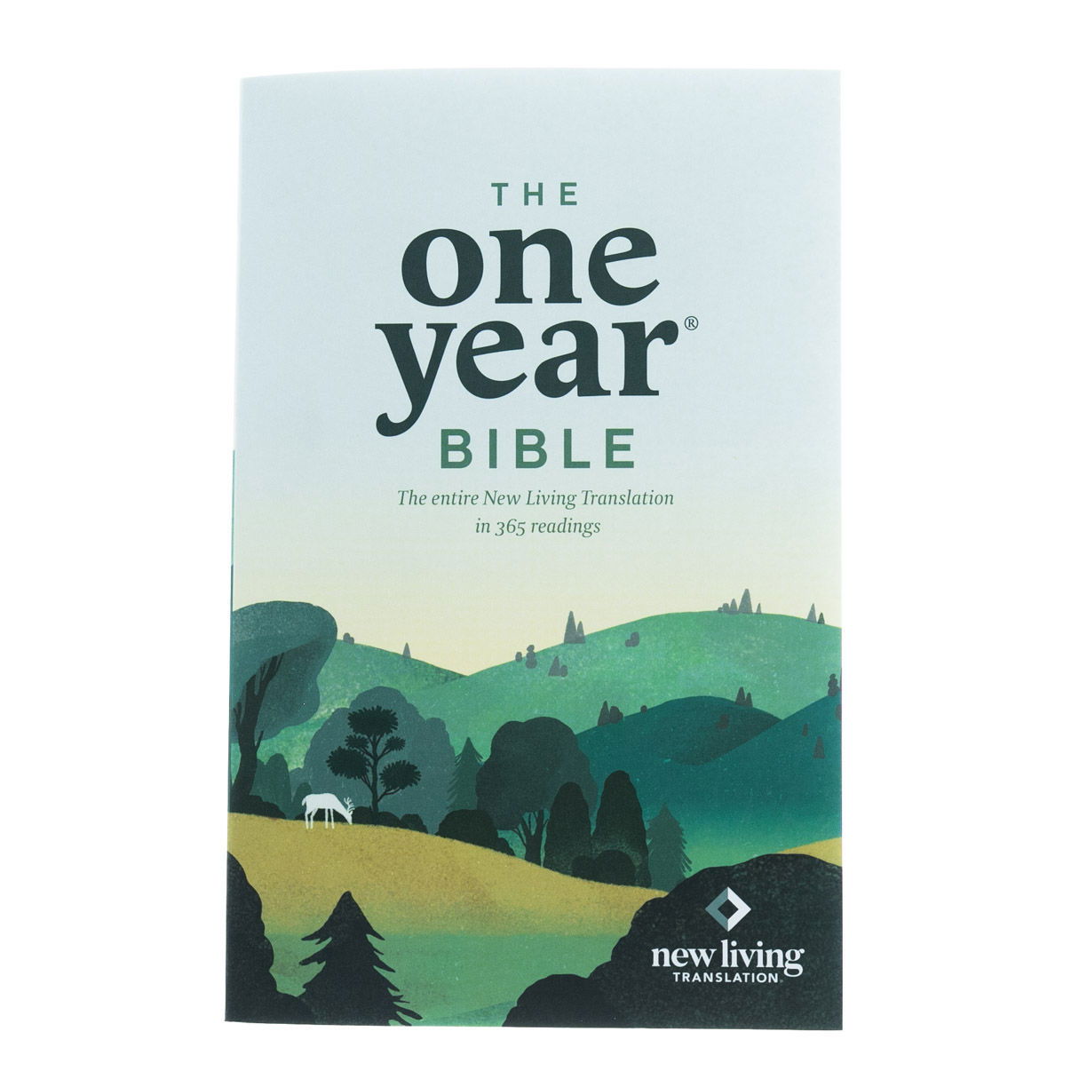 212-0156 Product Image 2