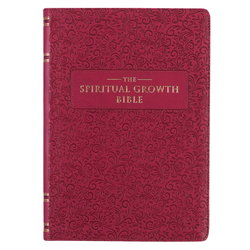 Image of NLT Berry Faux Leather Spiritual Growth Bible