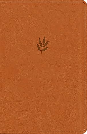 212-0236 Product Image 2