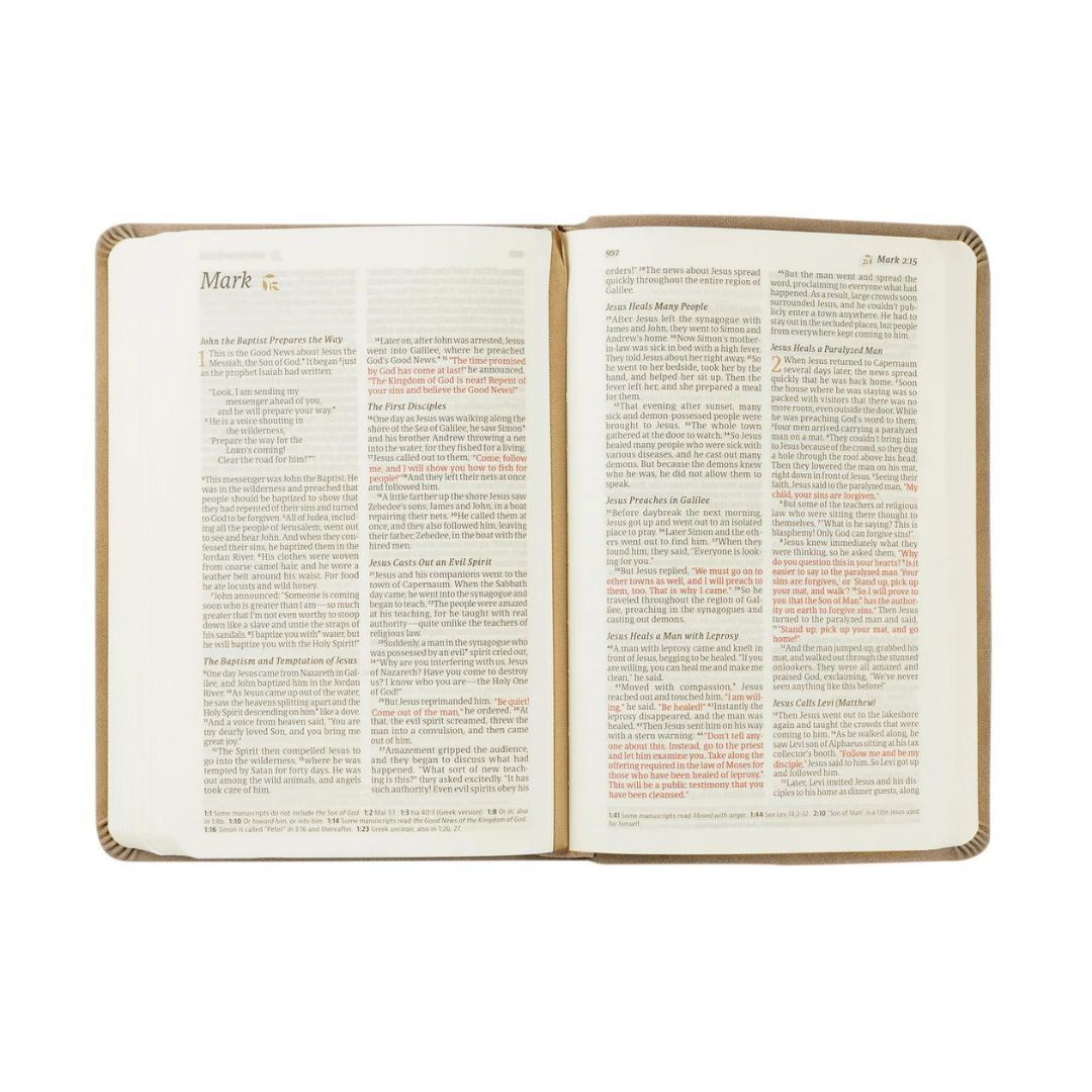 212-0249 Product Image 6