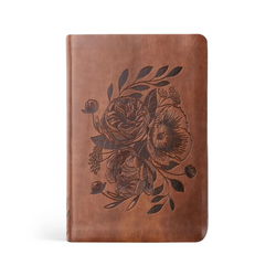 Image of NLT Compact Bible: Aurora Theme