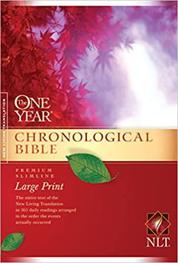 Image of NLT One Year Chronological Bibl-Premium Slimline Large Print