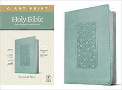 Image of NLT Personal Size Giant Print Bible LeatherLike, Floral Frame Teal