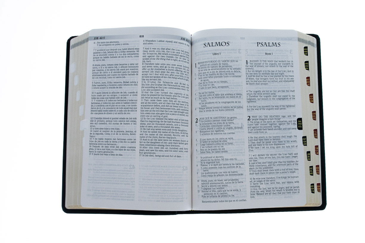 216-0004 Product Image 4