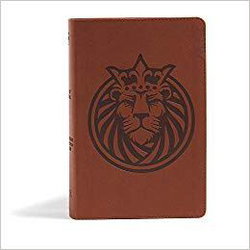 Image of CSB Kids Bible, Lion LeatherTouch Imitation Leather