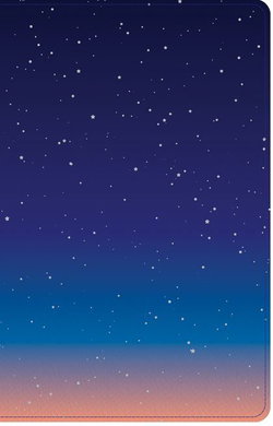 Image of CSB Kids Bible, Thinline Edition, Space Leathertouch