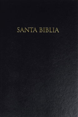 Image of Santa Biblia – Biblia Para Regalos y Premios-Rvr 1960