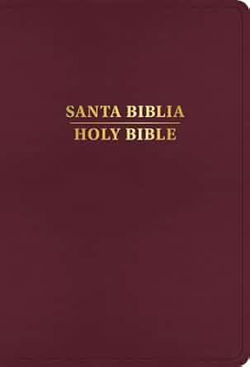 Image of RVR 1960/KJV Biblia Bilingüe Burgundy Imitation Leather