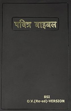 Image of Hindi (Old Version) Bible Vinyl Cover Black