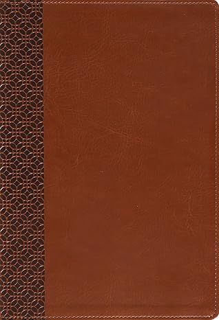 Image of Amplified Holy Bible, Large Print, Leathersoft, Brown