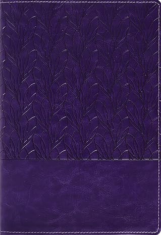 Image of Amplified Holy Bible, Large Print, Leathersoft, Purple