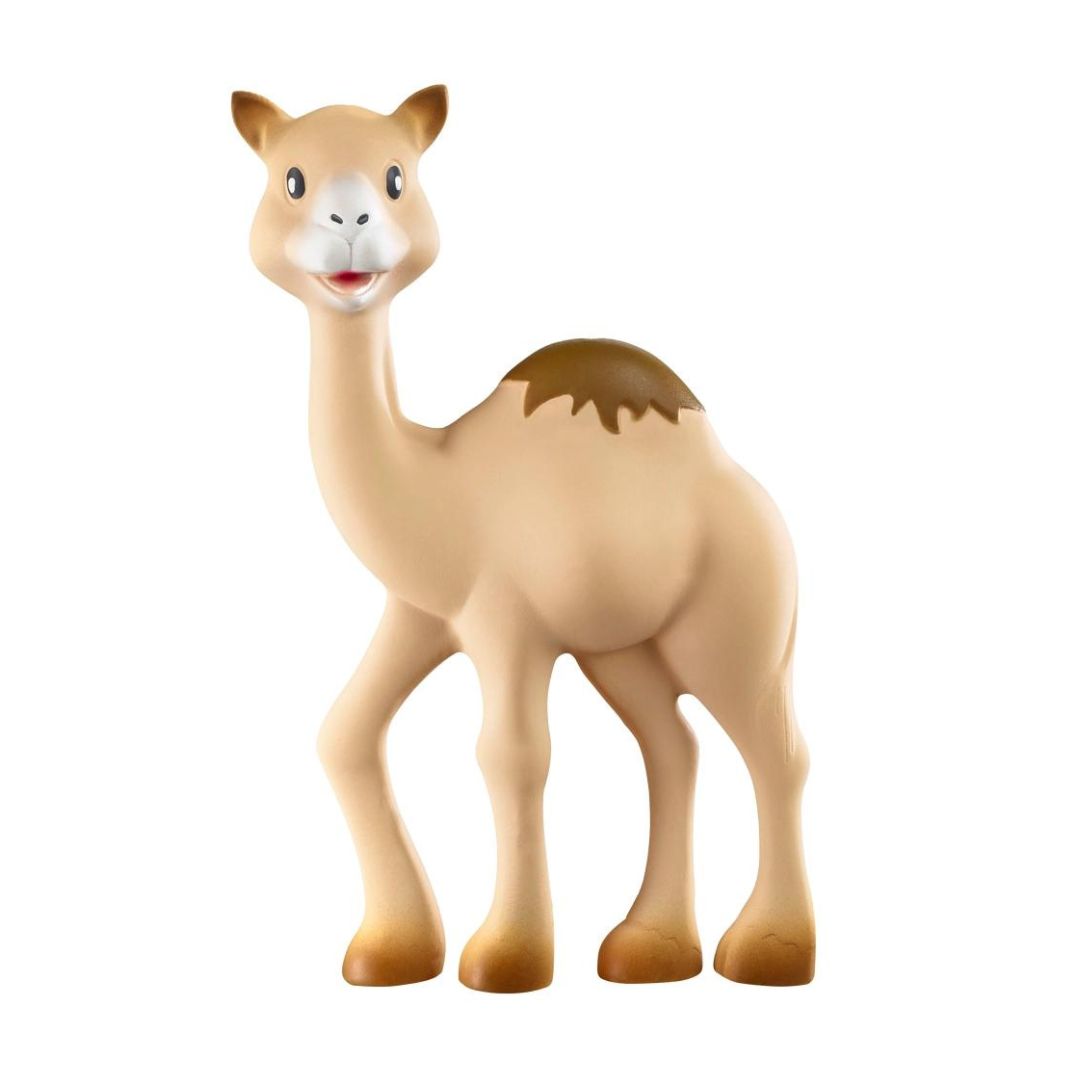 300-1137 Product Image 1