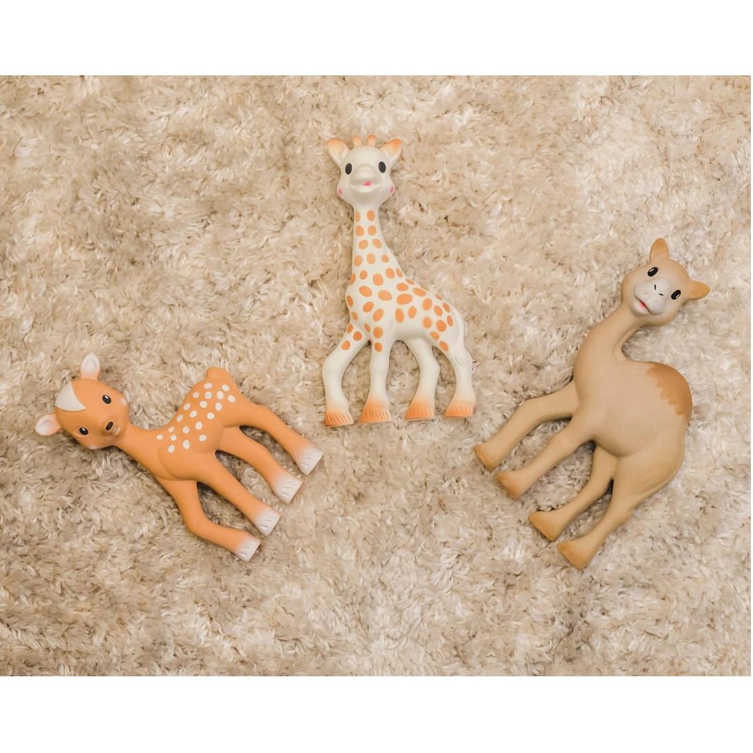 300-1137 Product Image 4