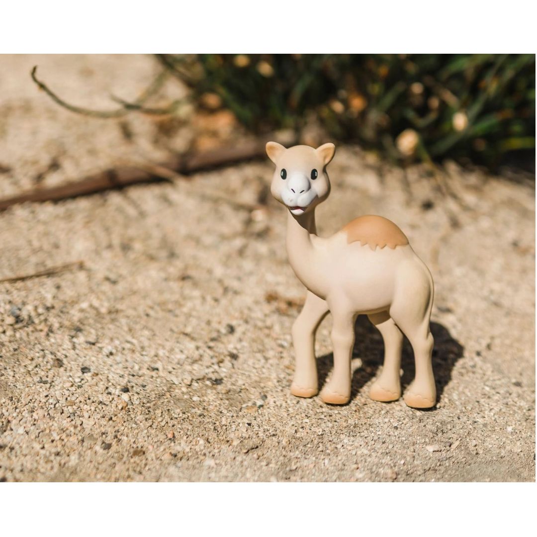 300-1137 Product Image 5