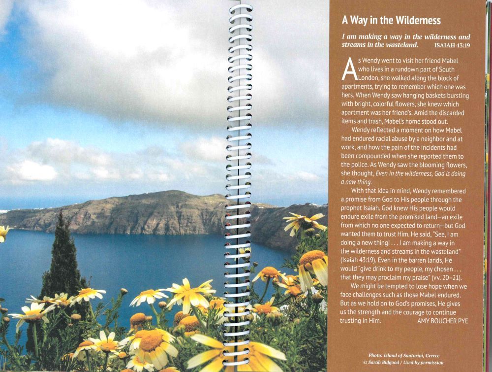 310-0191 Product Image 2