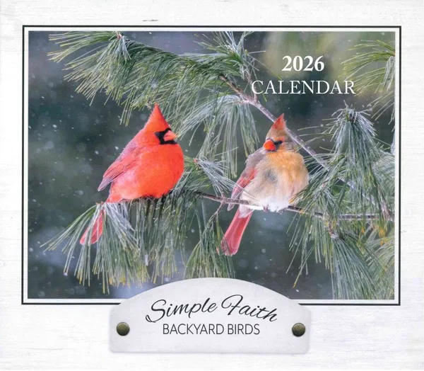 310-0606 Product Image 1