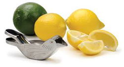 Image of Bird Citrus Squeezer