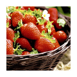 Image of Strawberries – Luncheon Napkin