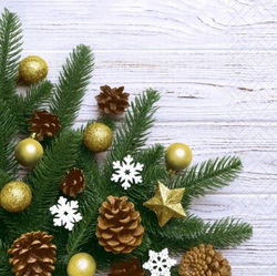 Image of Napkin – Pine & Stars