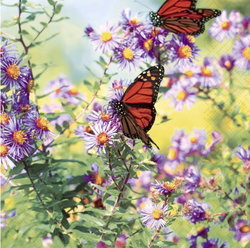 Image of Papillons – Luncheon Napkin