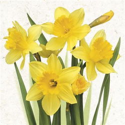 Image of Paper Napkins Daffodils